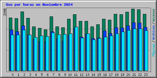 Uso por horas en Noviembre 2024