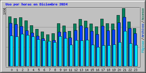 Uso por horas en Diciembre 2024