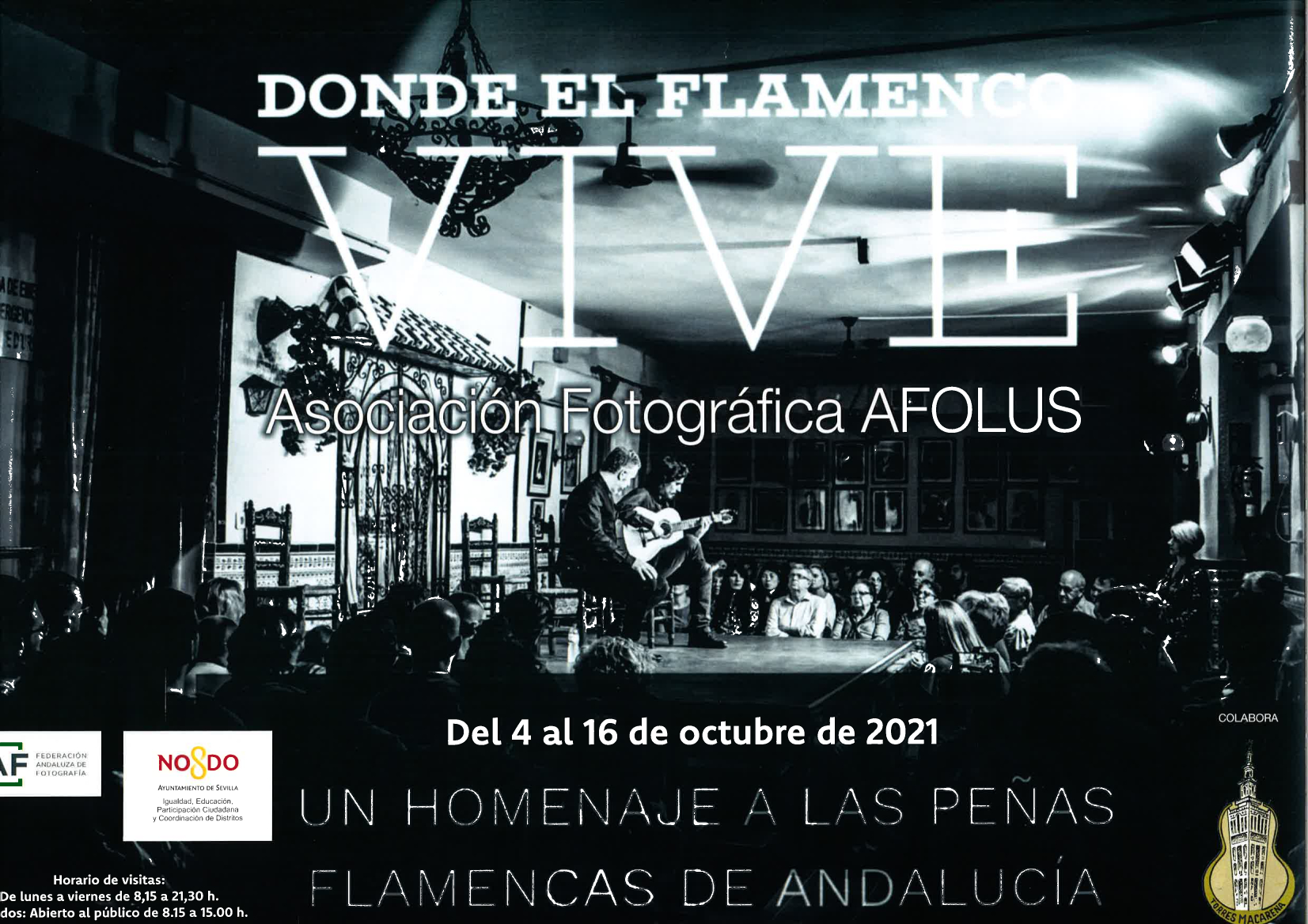 Exposición fotográfica DONDE EL FLAMENCO VIVE - AFOLUS