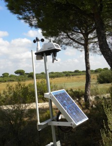 Detalle de la parte superior de prototipo que contiene la parte de sensores y placas solares.