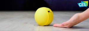 CES2020_pelota