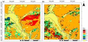 Resultados de la clasificación para el 2010 (a) y el 2016 (b) en las bases de datos de LIDAR.