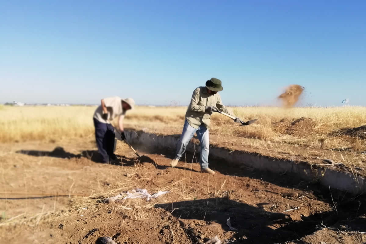 ¡Tierra va!
  Las imágenes más icónicas de las excavaciones  arqueológicas son aquellas relacionadas con el proceso de limpieza de los  contextos y estructuras, cuando comienzan a desvelarse los hallazgos, a veces  simplemente con una brocha o un paletín, y empieza a vislumbrarse la  materialidad del pasado. La tensión que provoca la minuciosidad del trabajo  arqueológico y la fascinación por el descubrimiento suelen generar una especial  sugestión en el espectador. Sin embargo, muchas veces gran parte del trabajo  consiste simplemente en sacar tierra, especialmente cuando, como ocurre en este  caso, se vuelve a abrir un corte para su excavación, después de haber sido  debidamente protegido y parcialmente enterrado al finalizar la campaña  anterior.