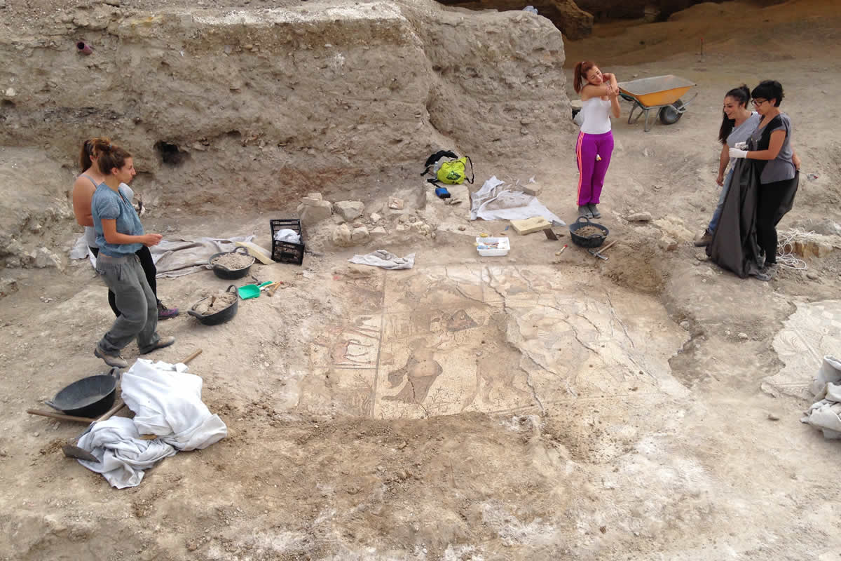  El  desvelamiento
Comienza la excavación de un sector de la domus en el que se enclava el triclinium. Al poco de comenzar el  trabajo empiezan a emerger las primeras escenas de un pavimento musivo.