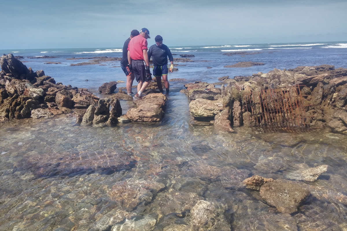 Restauración de un corral en Rota.
  Los corrales de Rota se declararon Monumento Natural  en 2010 por la Consejería de Medio Ambiente, pero su mantenimiento depende de  asociaciones patrimonialistas, gracias al trabajo y compromiso de aquellos que  entienden el corral como algo que va más allá de un sistema de pesca. Mediante  trabajo voluntario, &quot;cogen un portillo&quot; del corral Chiquito, en Rota,  mediante técnicas escrupulosamente artesanales de restauración, que garantizan  que el corral marino siga cumpliendo funciones medioambientales, sociales y  patrimoniales, históricas y actuales. (Autora: Eva Cote).