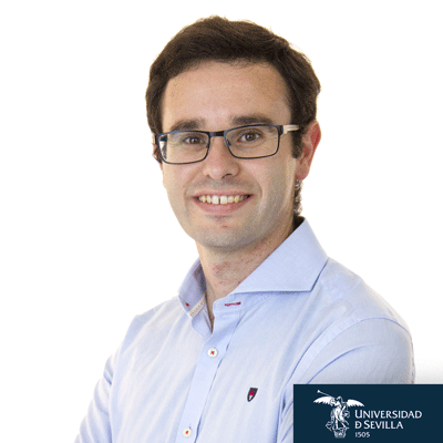 Raúl Domínguez Herrera