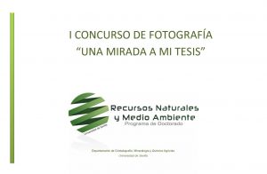 Lee más sobre el artículo Concurso de fotografía “Una mirada a mi tesis”