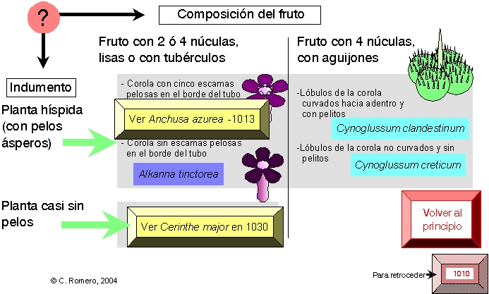 p&aacutegina 802