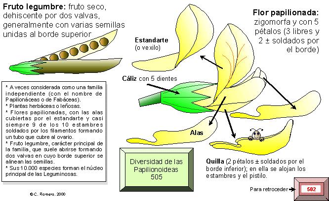 página 504