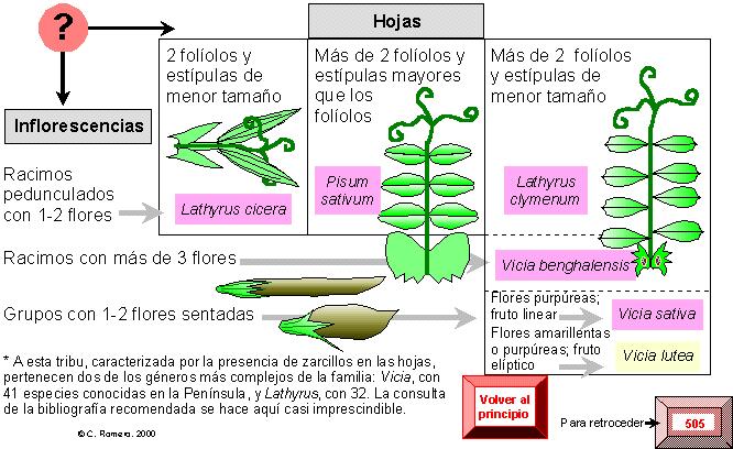 página 510