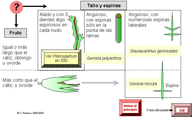 página 521