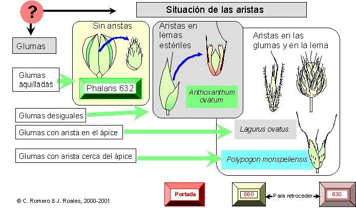 página 631