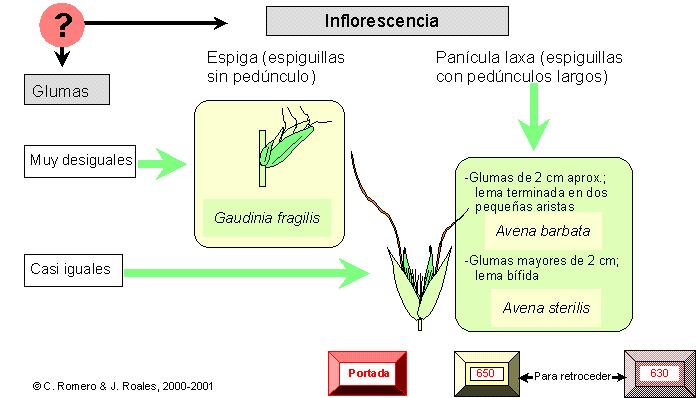 página 634