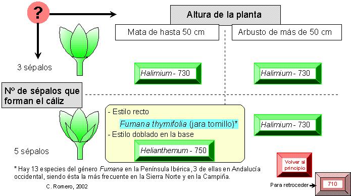 página 711