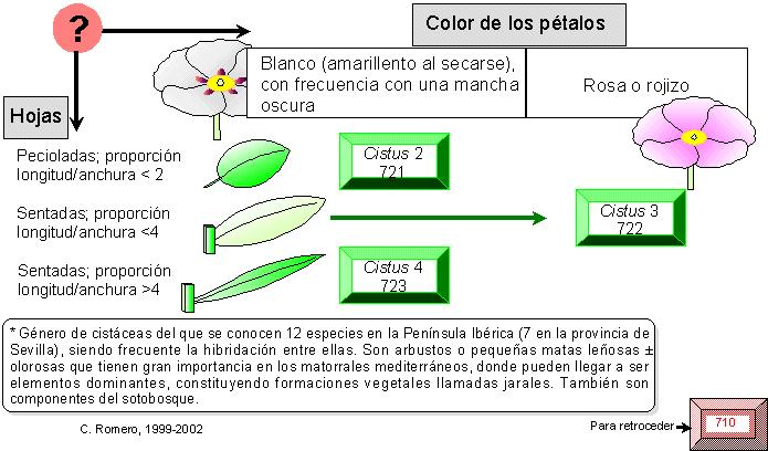 página 720