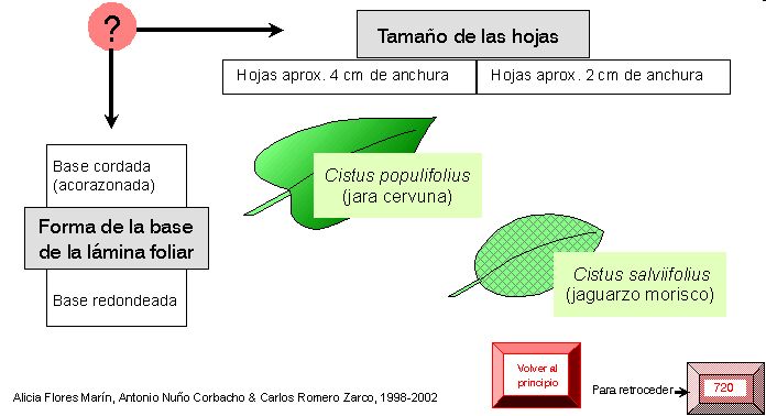 página 721