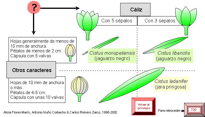 página 723