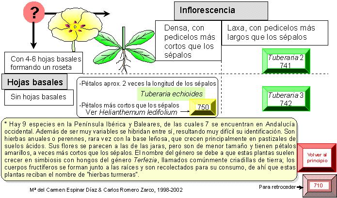 página 740