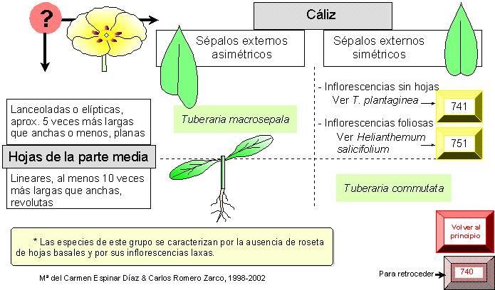 página 742