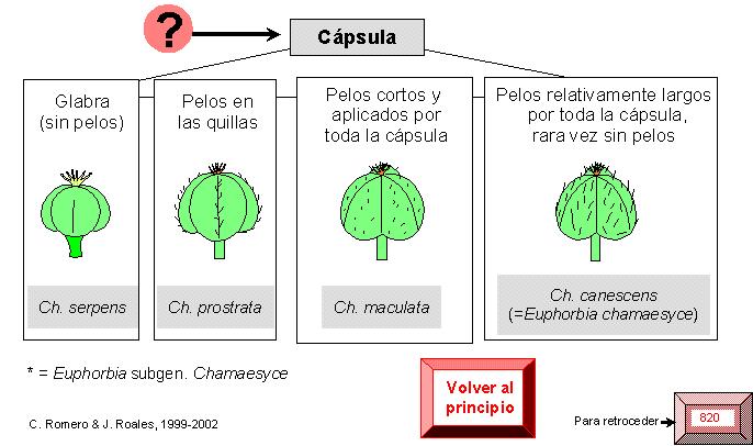 página 821