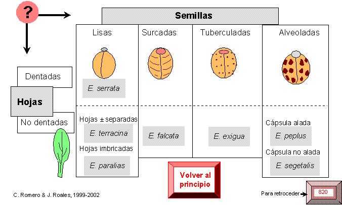 página 822a