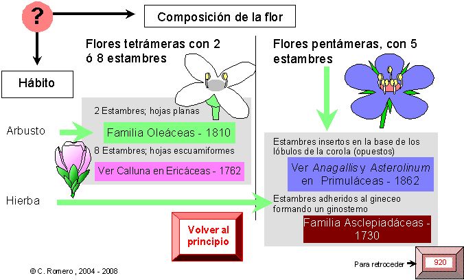 página 802