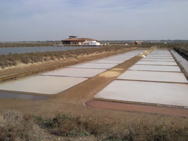 Visita al CRA Salinas de Chiclana