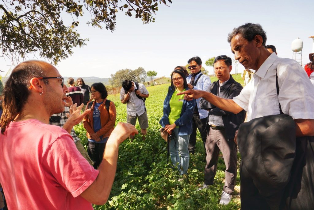 Mum Goat: agroecological farm