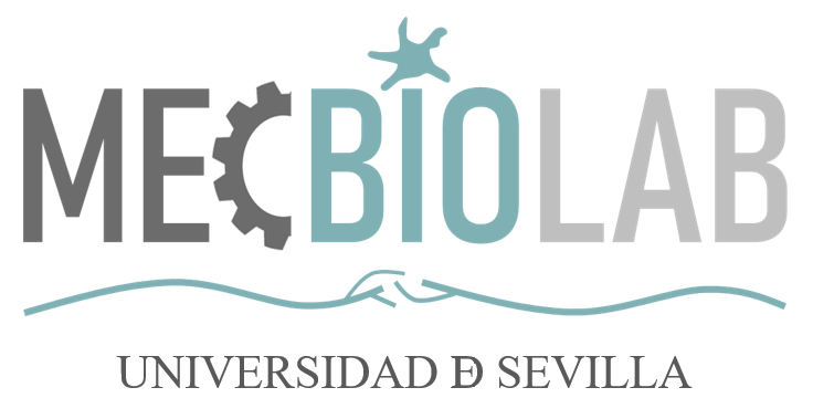 Logo, Mechanobiology Lab, University of Seville, Sevilla